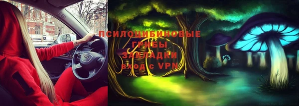 apvp Аркадак