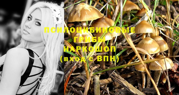 apvp Аркадак